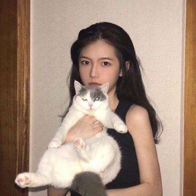 朕统江山破解版下载